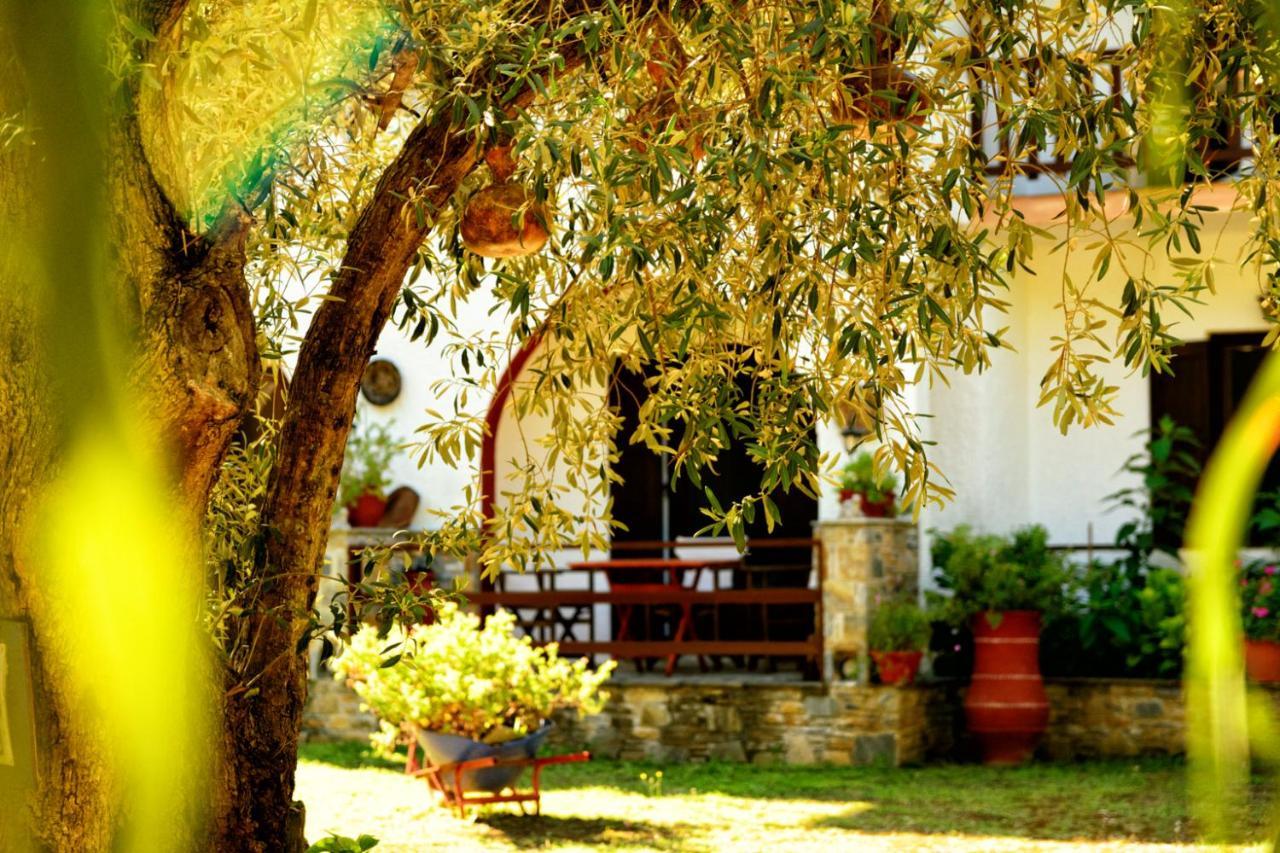 Spiros Rooms Panormos (Skopelos) Exterior foto