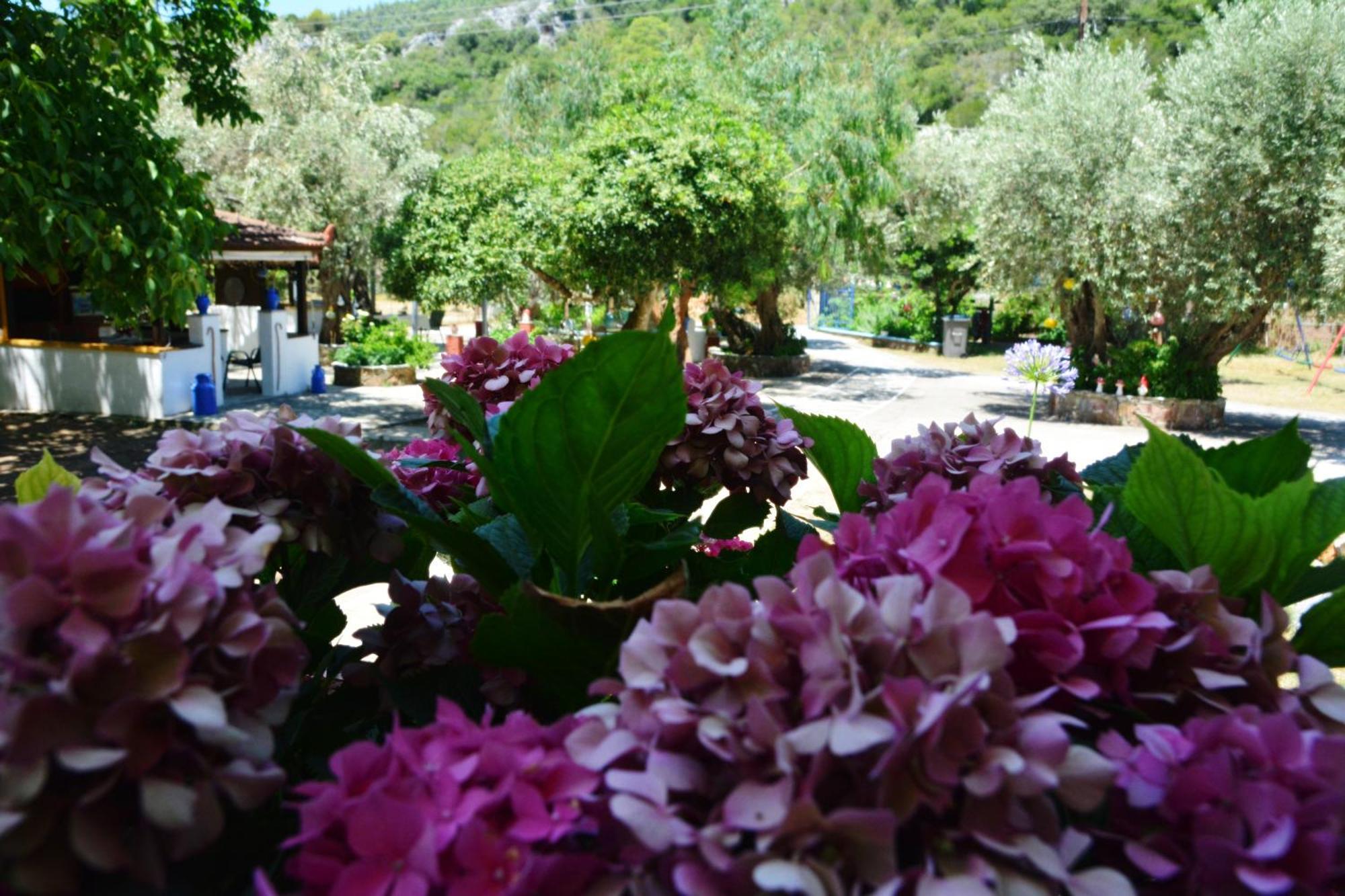 Spiros Rooms Panormos (Skopelos) Exterior foto